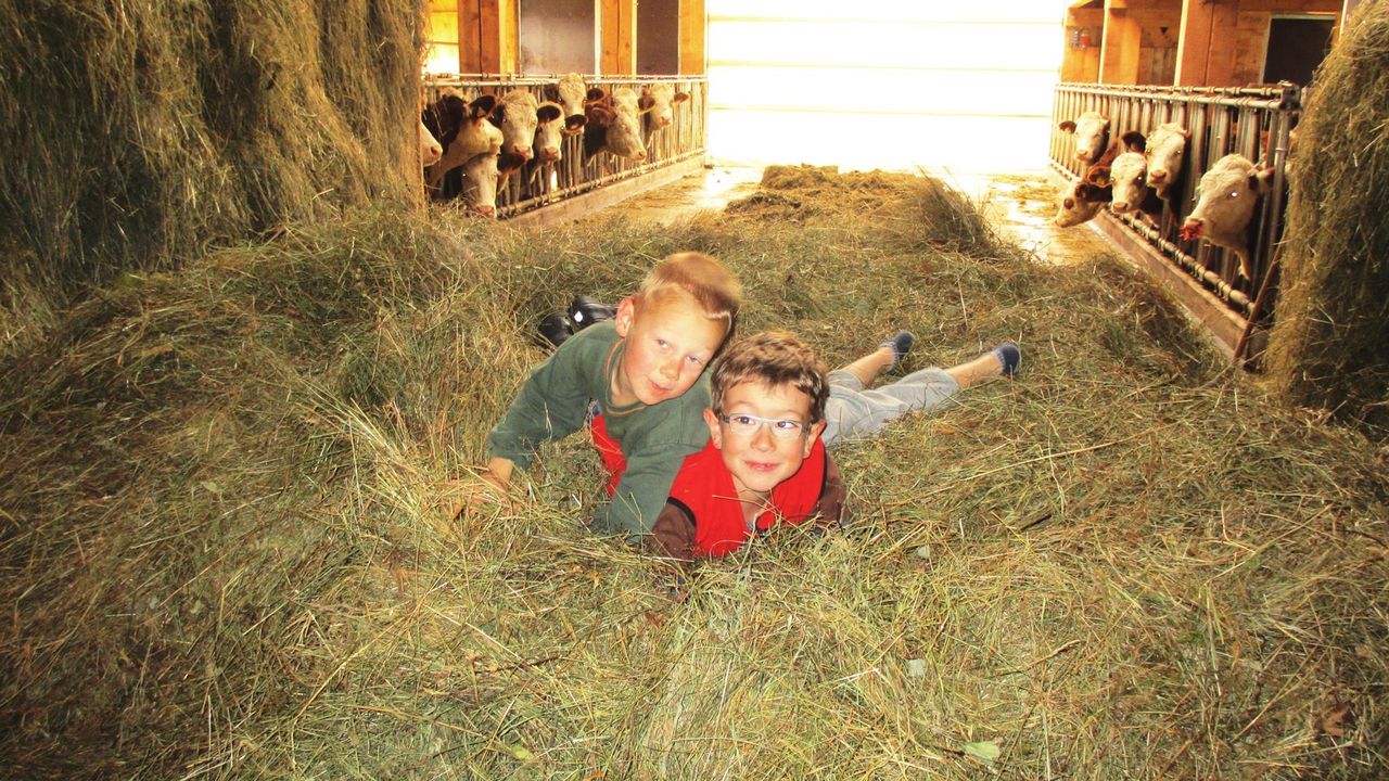 Kinder im Heu Kinder im Heu